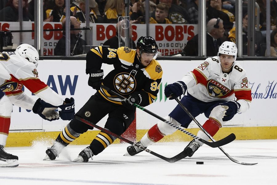 Bruins complete comeback, snap Panthers' win streak  